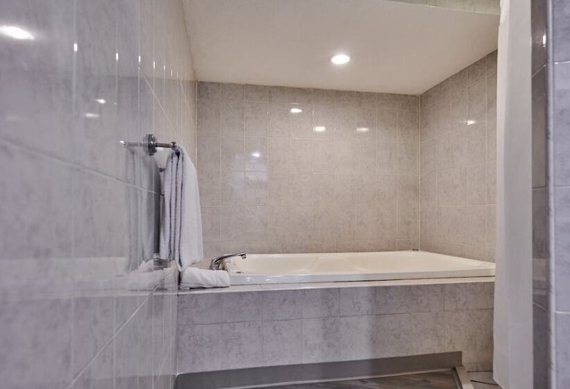 سوئیت با وان آب گرم, Best Western Plus Gran Hotel Centro Historico
