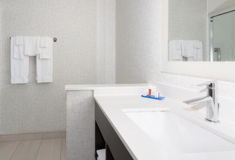 Номер Стандарт Кровать Кинг Адаптированный для Инвалидов, Holiday Inn Express & Suites   Firestone   Longmont , An Ihg