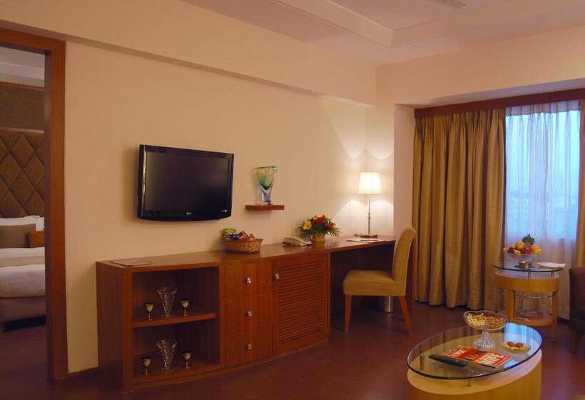 套房, Lords Plazaankleshwar
