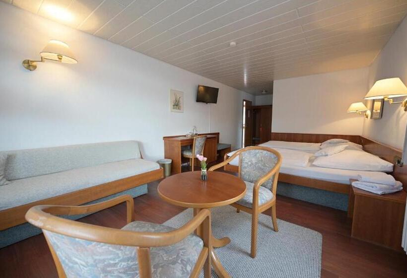 Номер Стандарт Адаптированный для Инвалидов, Landhotel Hirsch