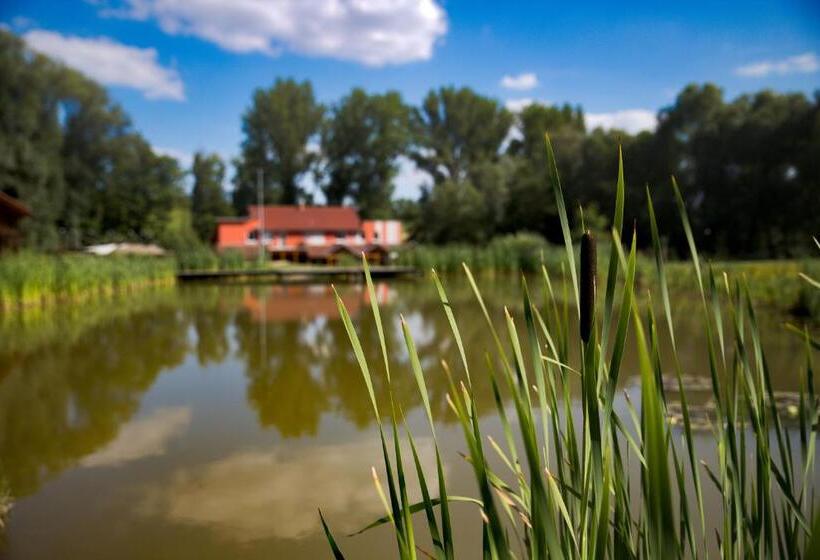 Семейное Бунгало, Penzion Amfík Bukovina