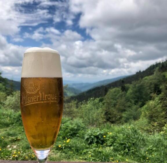 家庭山景房, Motorest Ski čertovica