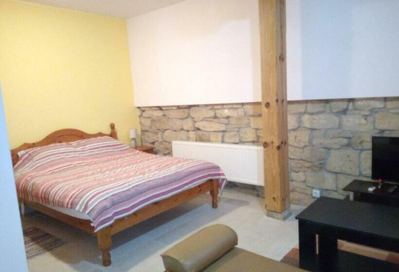 Номер Стандарт Трехместный, Studio Apartment In Palamartsa