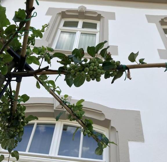 Апартаменты 1 Спальня, Gästehaus Cantzheim