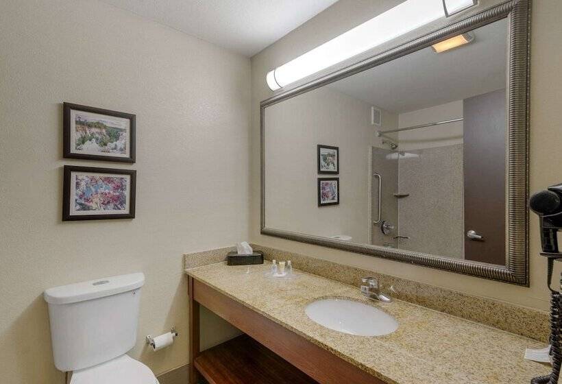 Lakosztály, Comfort Suites Columbus State University Area