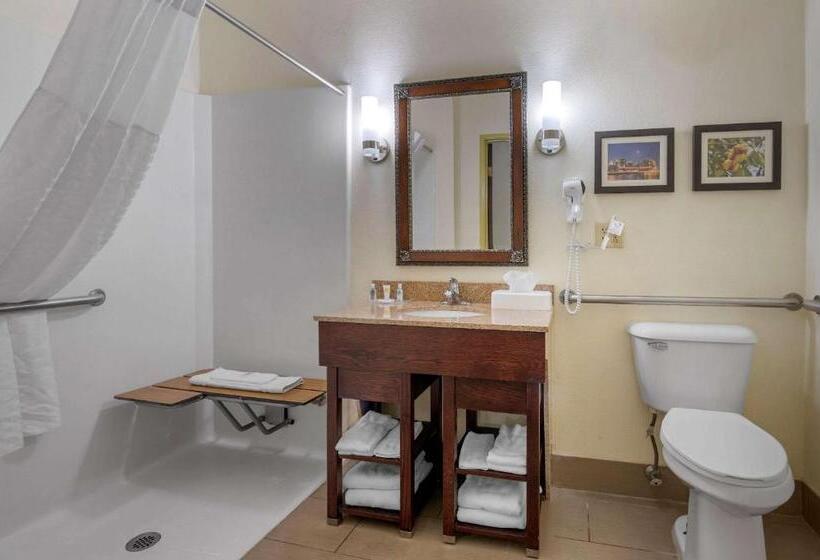 Люкс Адаптированный для Инвалидов, Comfort Suites Miamisburg   Dayton South