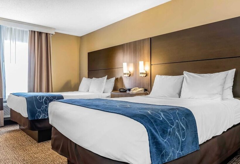 Люкс, Comfort Suites Miamisburg   Dayton South