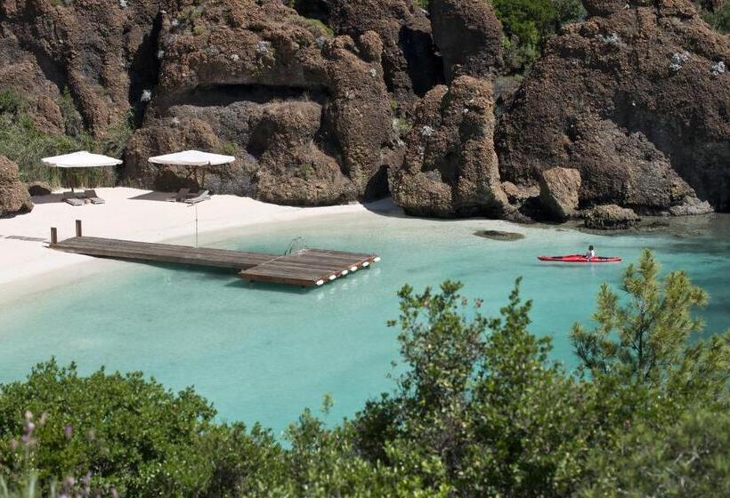 سوئیت جونیور اینتریور, D Maris Bay
