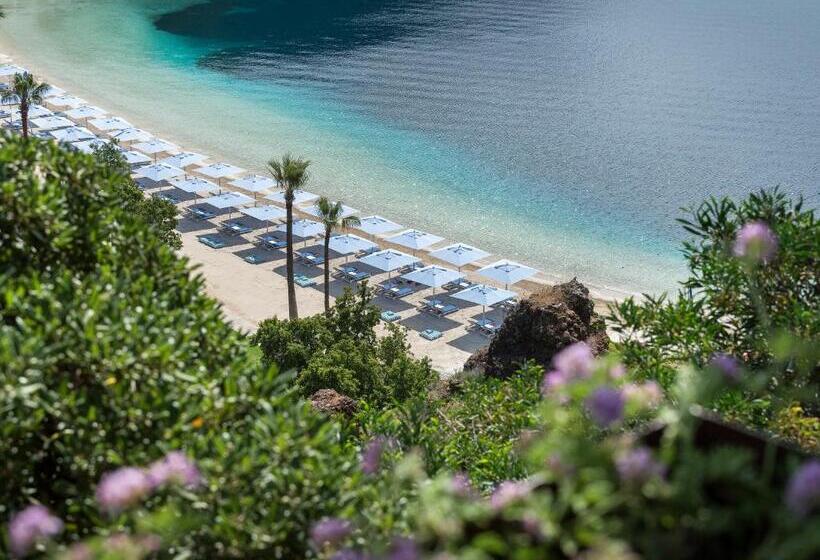 سوییت, D Maris Bay