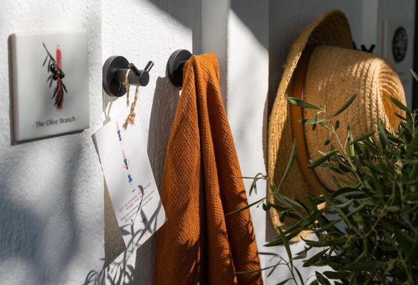 اتاق لوکس, Yayaki Spetses