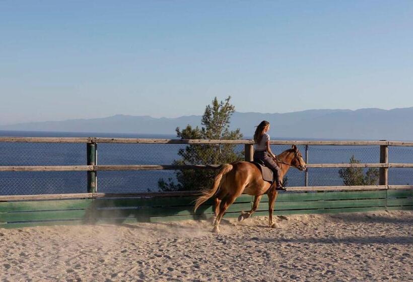 اتاق لوکس خانوادگی, Yayaki Spetses