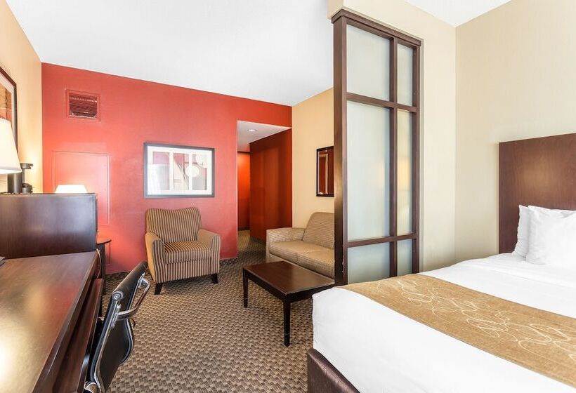 套房, Comfort Suites Charleston West Ashley