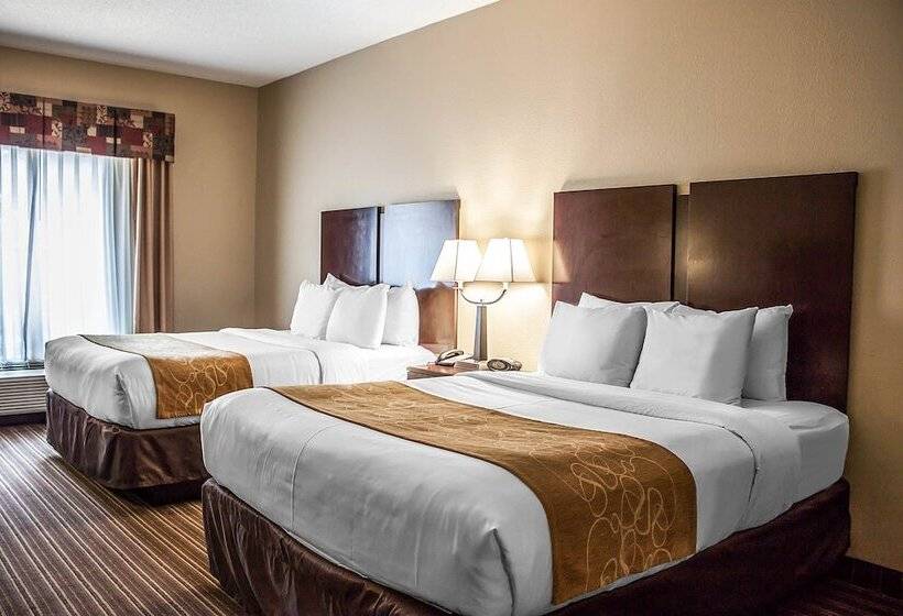 套房, Comfort Suites Charleston West Ashley