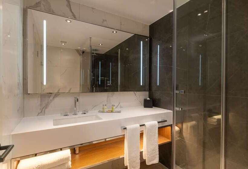 带大床的行政房间, Hilton The Hague