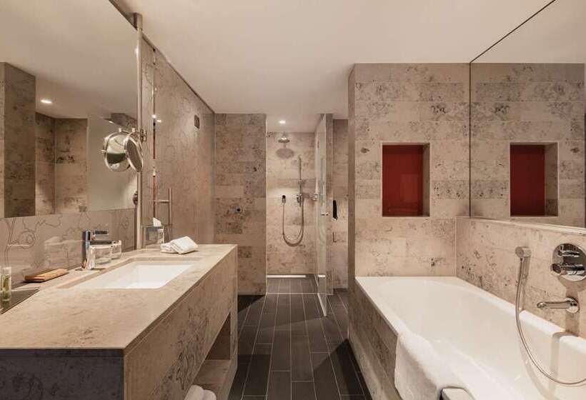 带大床的标准间, Hilton The Hague
