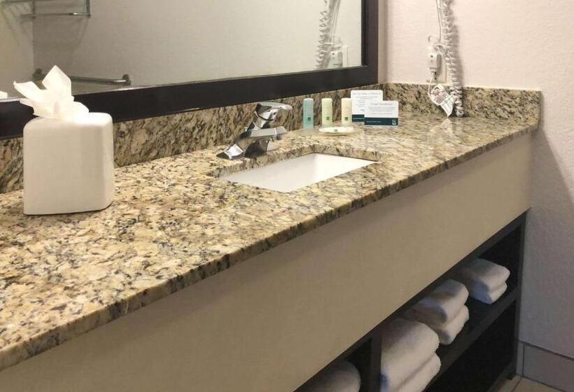 חדר סטנדרט עם מיטת קינג, Quality Inn & Suites Denver International Airport