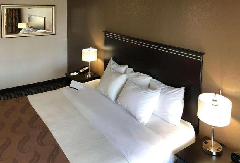 מיטת קינג בסוויטה, Quality Inn & Suites Denver International Airport