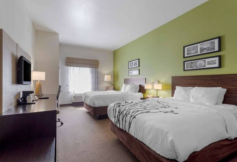 Номер Стандарт 2 Двуспальные Кровати, Sleep Inn & Suites