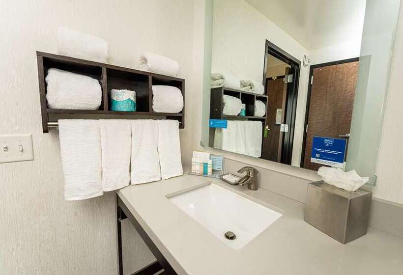 اتاق استاندارد با تخت بزرگ, Hampton By Hilton Dublin City Centre