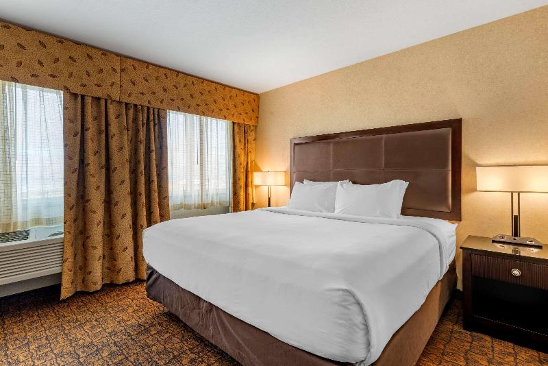 اتاق استاندارد با تخت بزرگ, Holiday Inn Tongren Wanshan, An Ihg