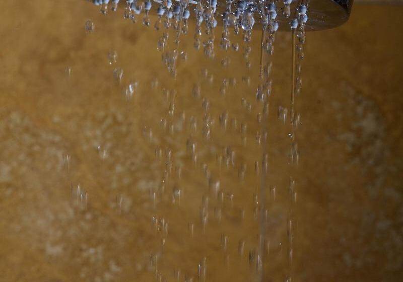 اتاق سوپریور, Al Codega