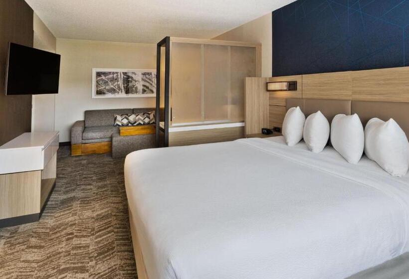 Студио Стандарт Кровать Кинг, Springhill Suites Birmingham Colonnade