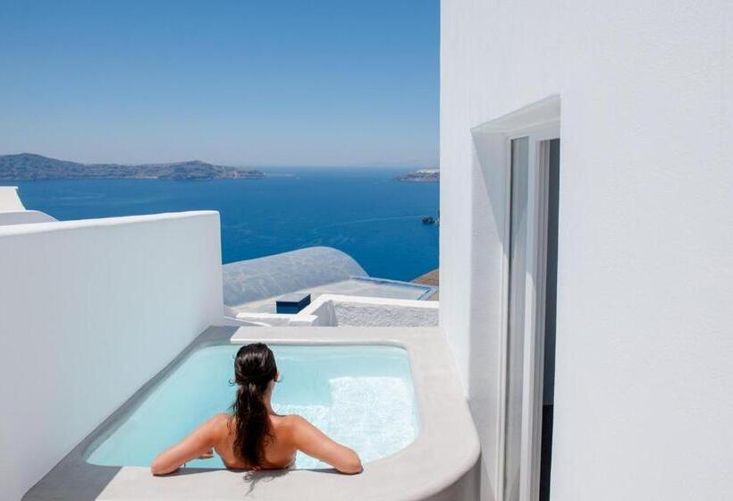 ویلای 1 خوابه, Aria Suites & Villas