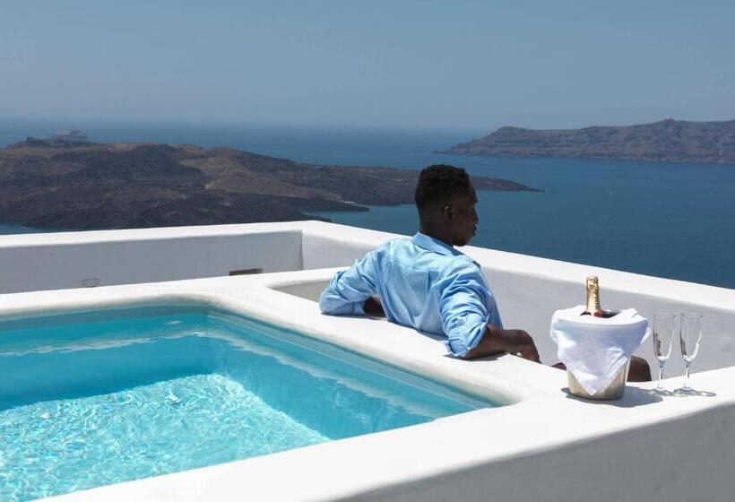 ویلای 1 خوابه, Aria Suites & Villas