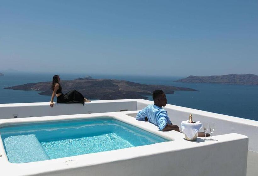 ویلای 1 خوابه, Aria Suites & Villas