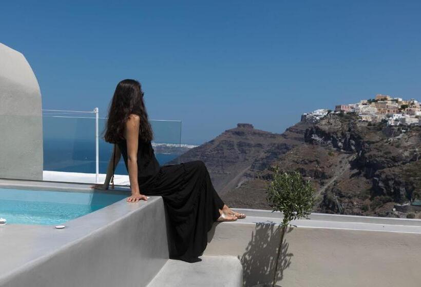 ویلای 2 خوابه, Aria Suites & Villas