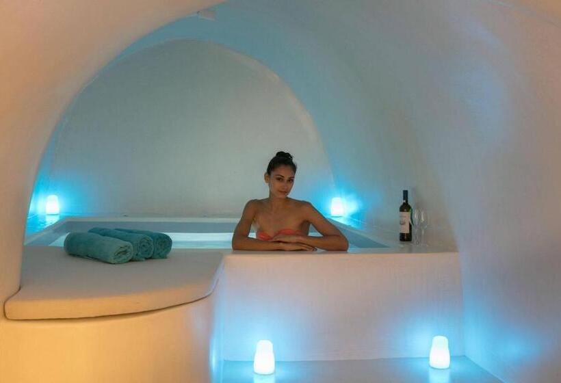 ویلای 1 خوابه, Aria Suites & Villas