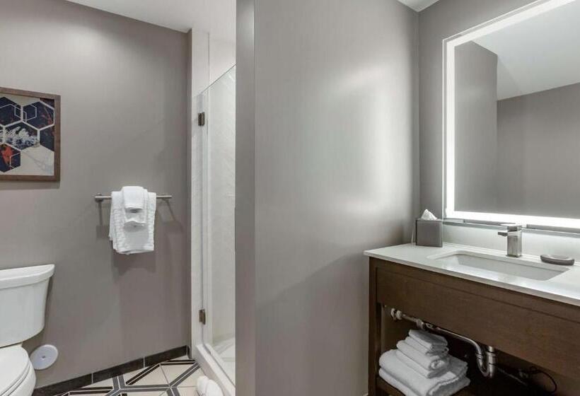 اتاق استاندارد با تخت بزرگ, Vīb Hotel By Best Western Phoenix   Tempe