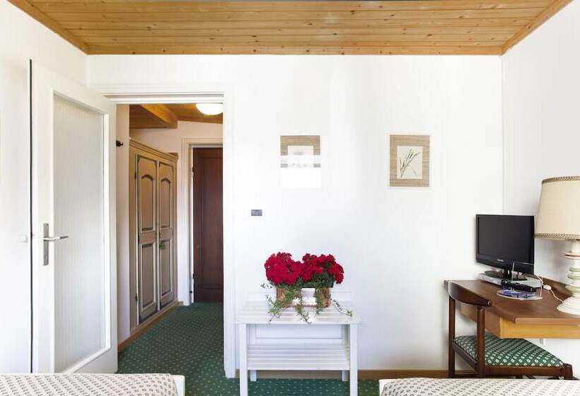 Quarto Estandar, Cir