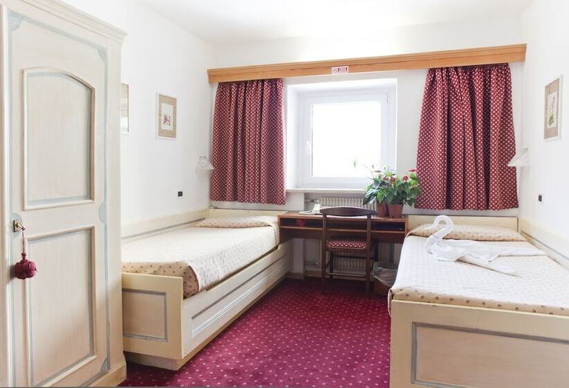 Quarto Estandar, Cir