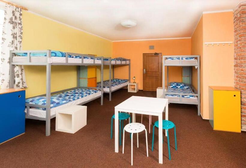 اتاق استاندارد با سرویس بهداشتی مشترک, Hostel Downtown