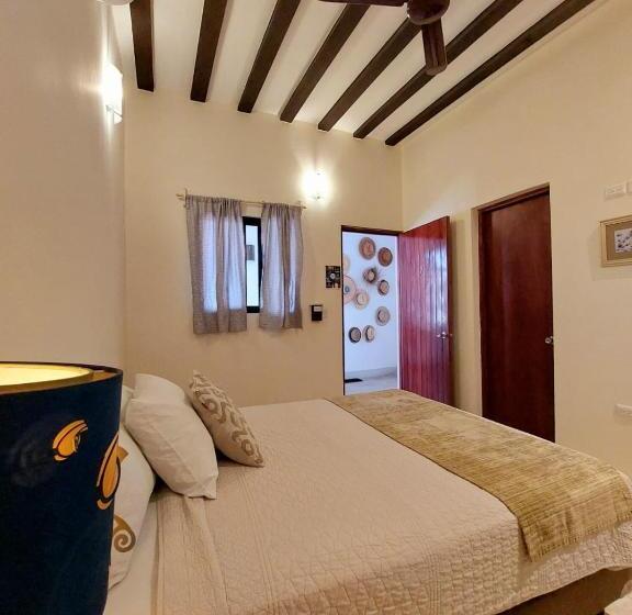 اتاق استاندارد, Valladolid 48 Hotel & Hostal