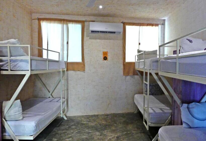 تختخواب در اتاق مشترک, Valladolid 48 Hotel & Hostal