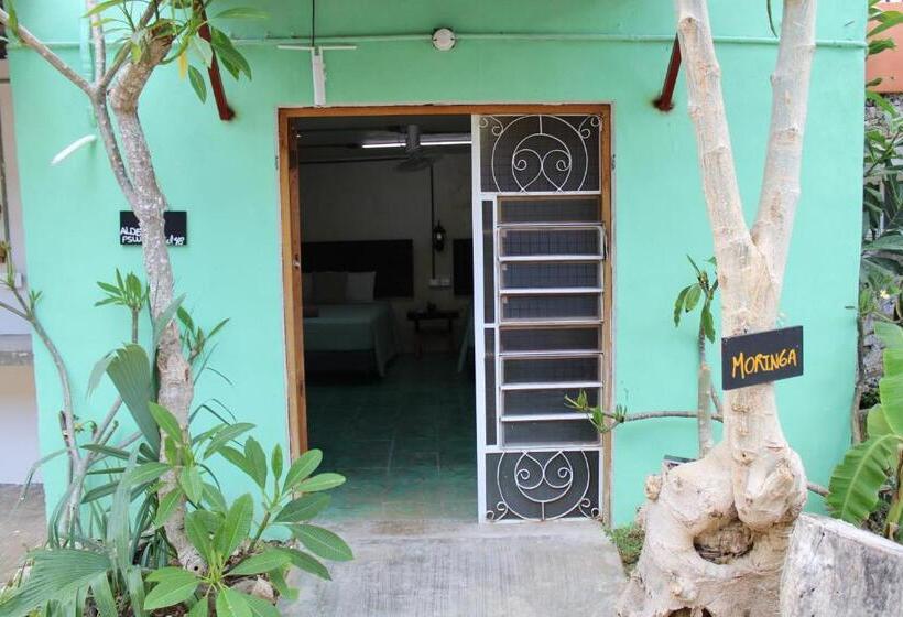 اتاق استاندارد, Valladolid 48 Hotel & Hostal