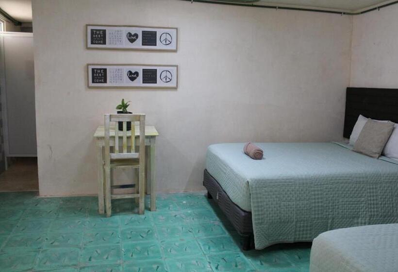 اتاق استاندارد, Valladolid 48 Hotel & Hostal