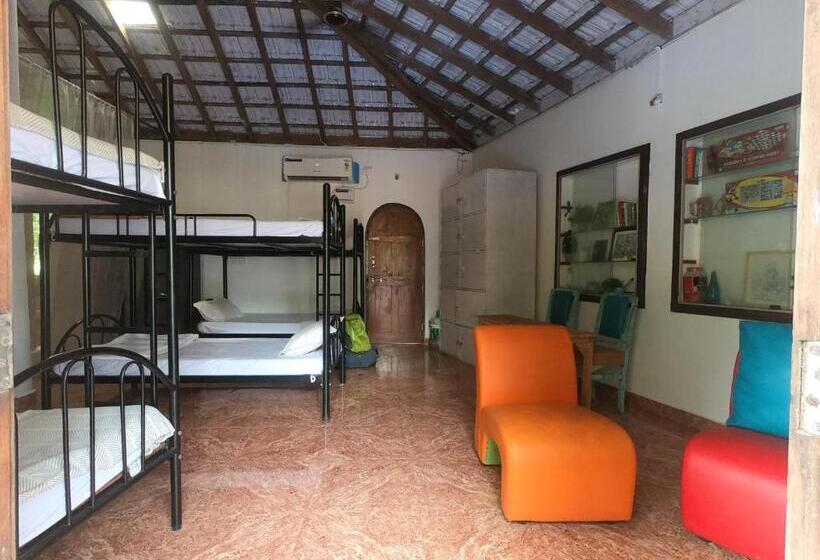 تختخواب در اتاق مشترک, Anjoned Hostel & Cafe