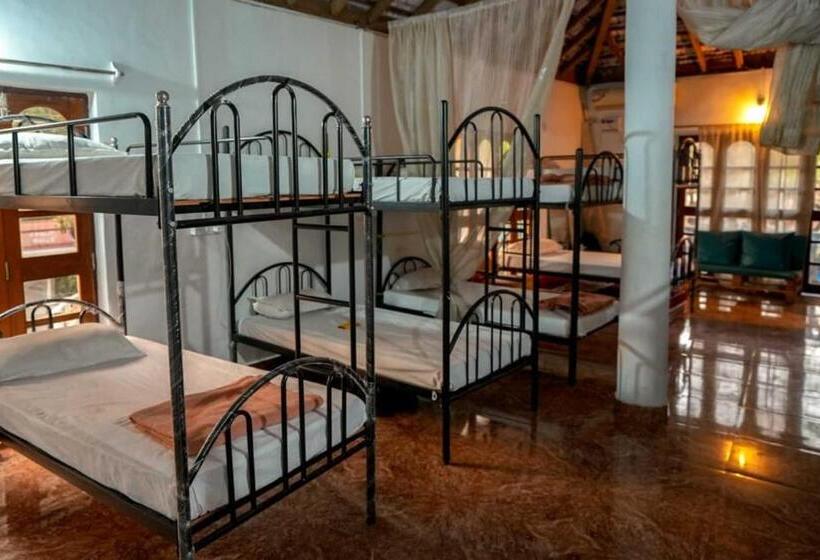 تختخواب در اتاق مشترک, Anjoned Hostel & Cafe