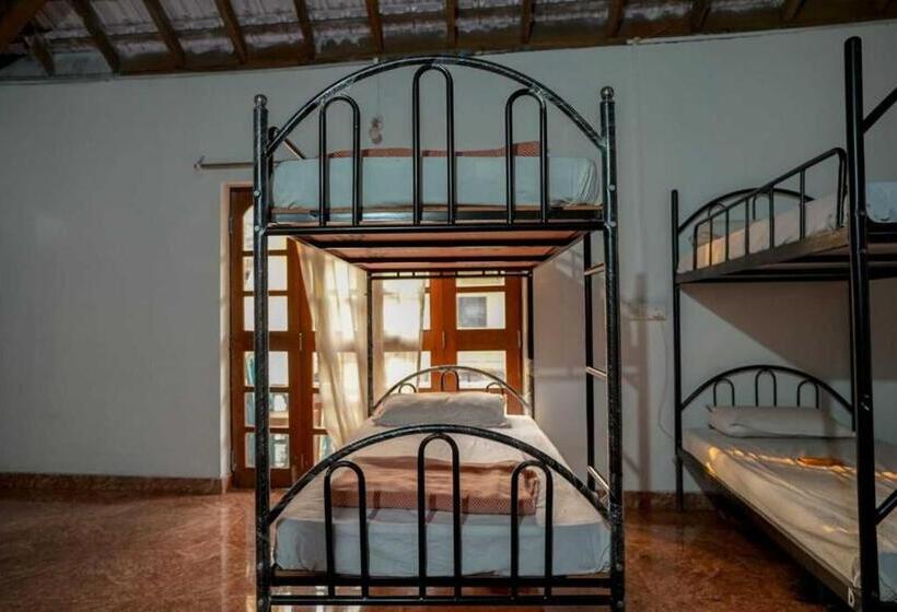 تختخواب در اتاق مشترک, Anjoned Hostel & Cafe