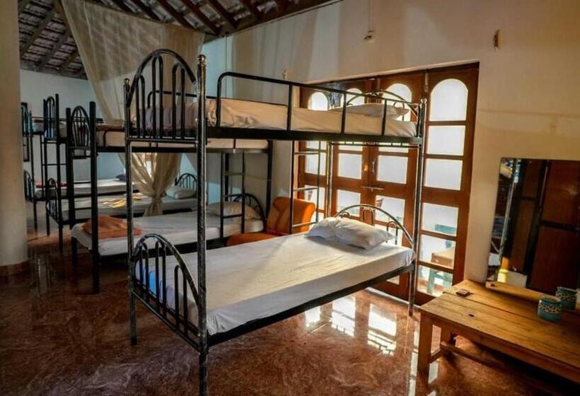 تختخواب در اتاق مشترک, Anjoned Hostel & Cafe