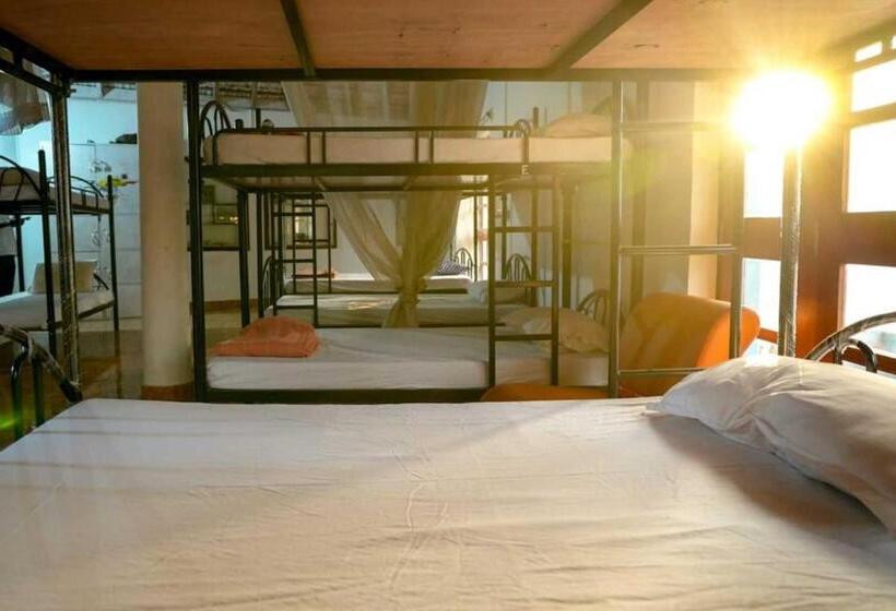 تختخواب در اتاق مشترک, Anjoned Hostel & Cafe
