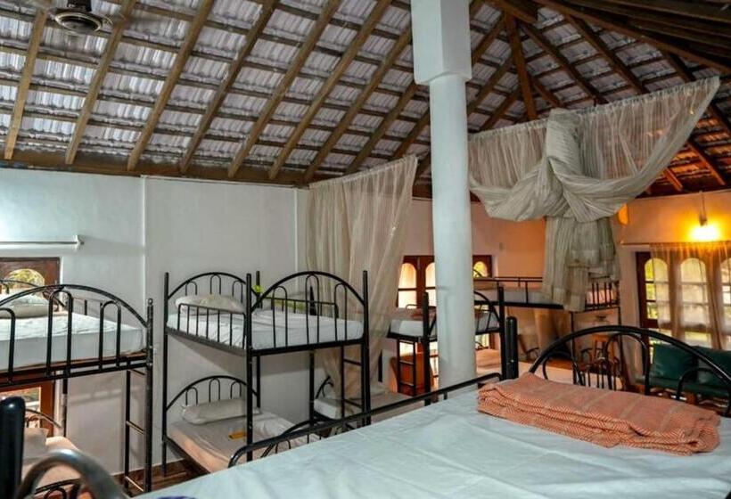 تختخواب در اتاق مشترک, Anjoned Hostel & Cafe