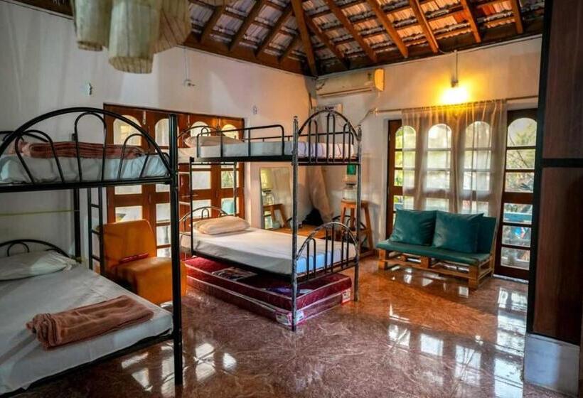 تختخواب در اتاق مشترک, Anjoned Hostel & Cafe