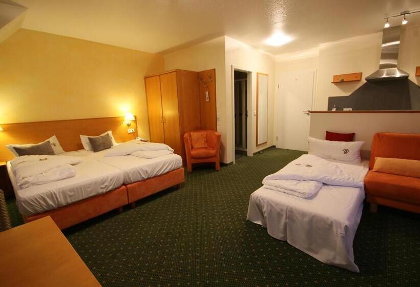 Апартаменты 1 Спальня с Видом, Berggasthof Hotel Igelwirt