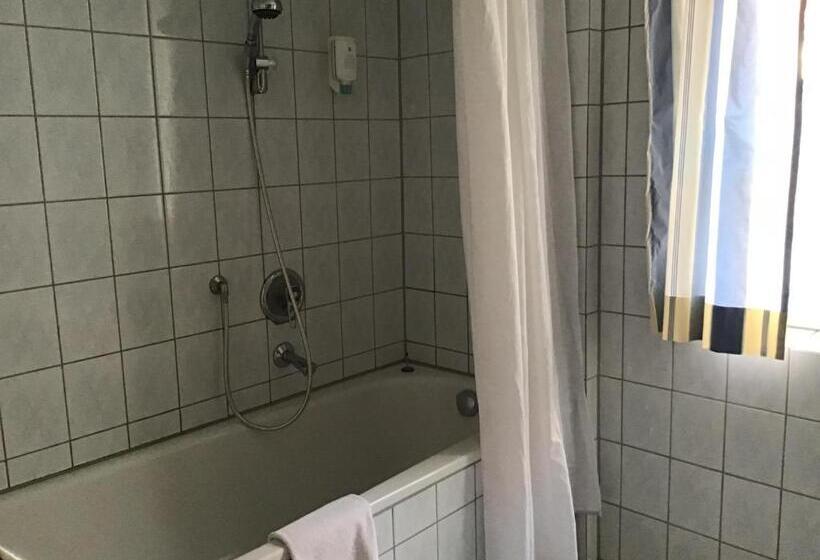 스탠다드 싱글 룸, Historik Hotel Ochsen