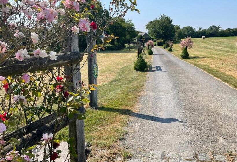 标准间, Appart  D Hôtes , Ch Et Gîte Au Manoir De La Haute Pilais