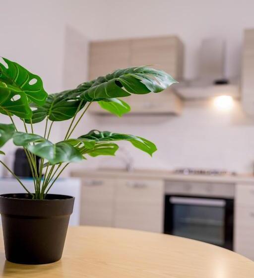 Студия Стандарт, Residence Villa Tota